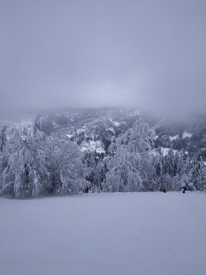 Шале Карпатська Казка Slavske Exterior foto